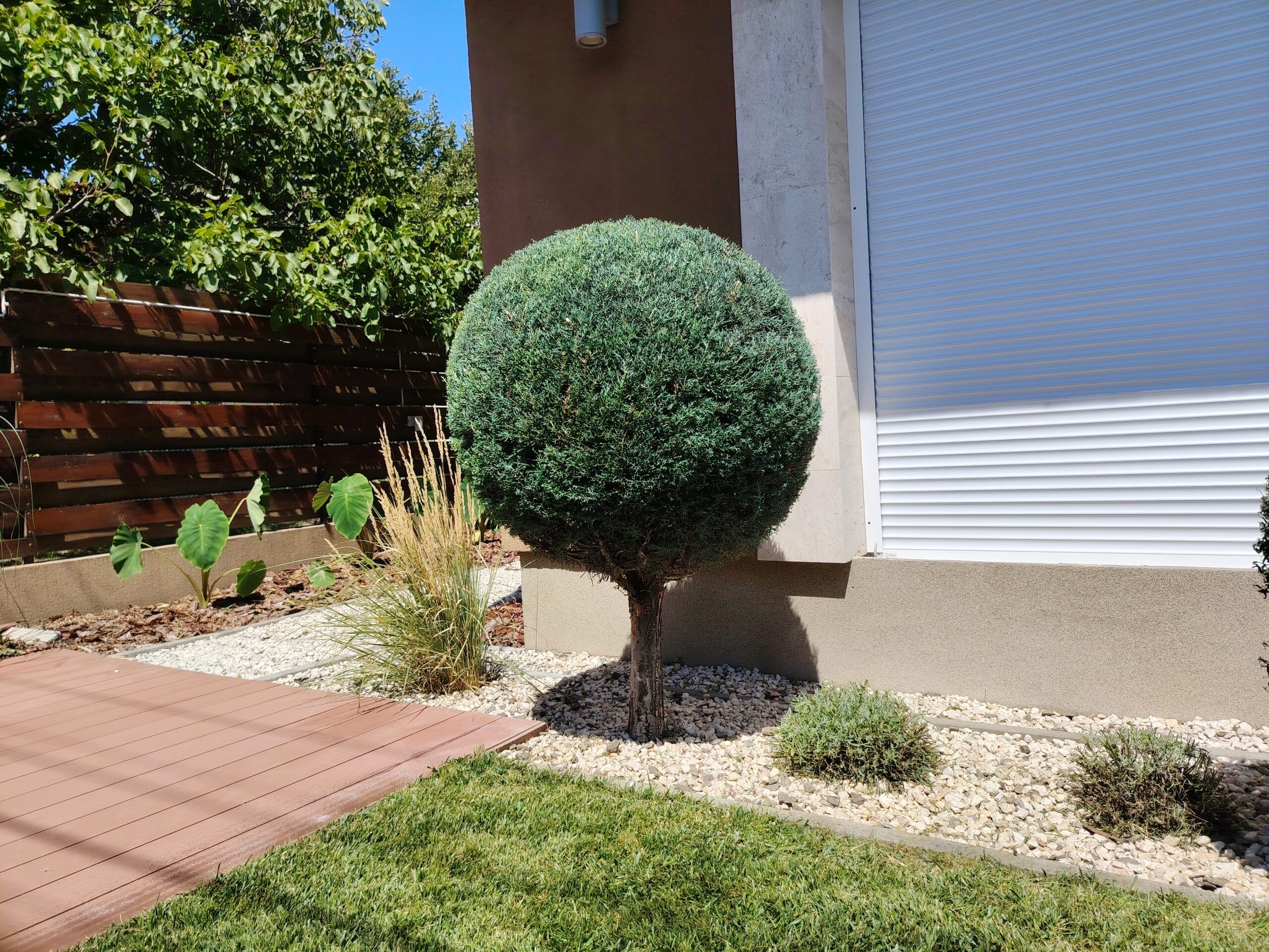 Garden work gallery image