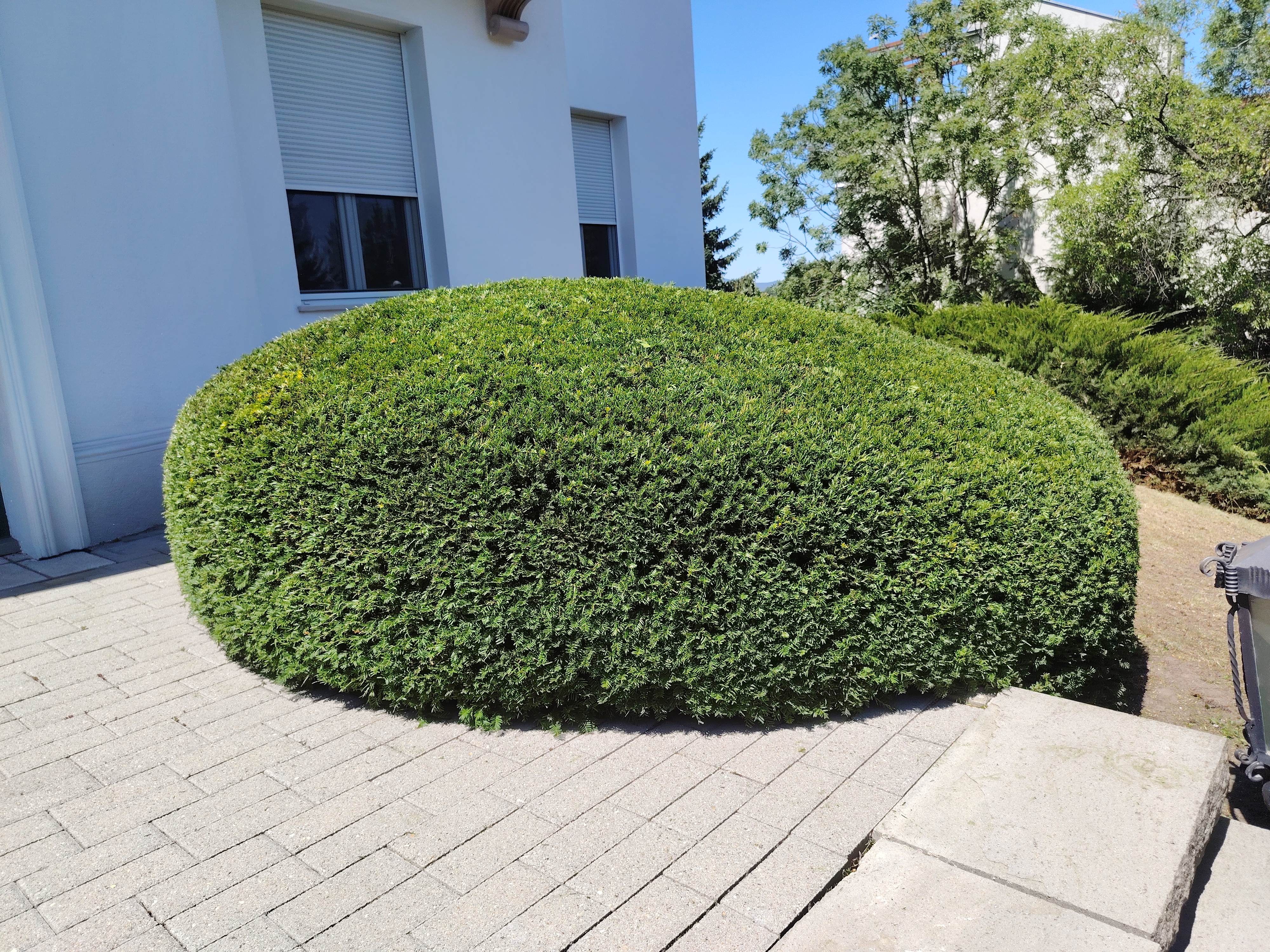 Garden work gallery image