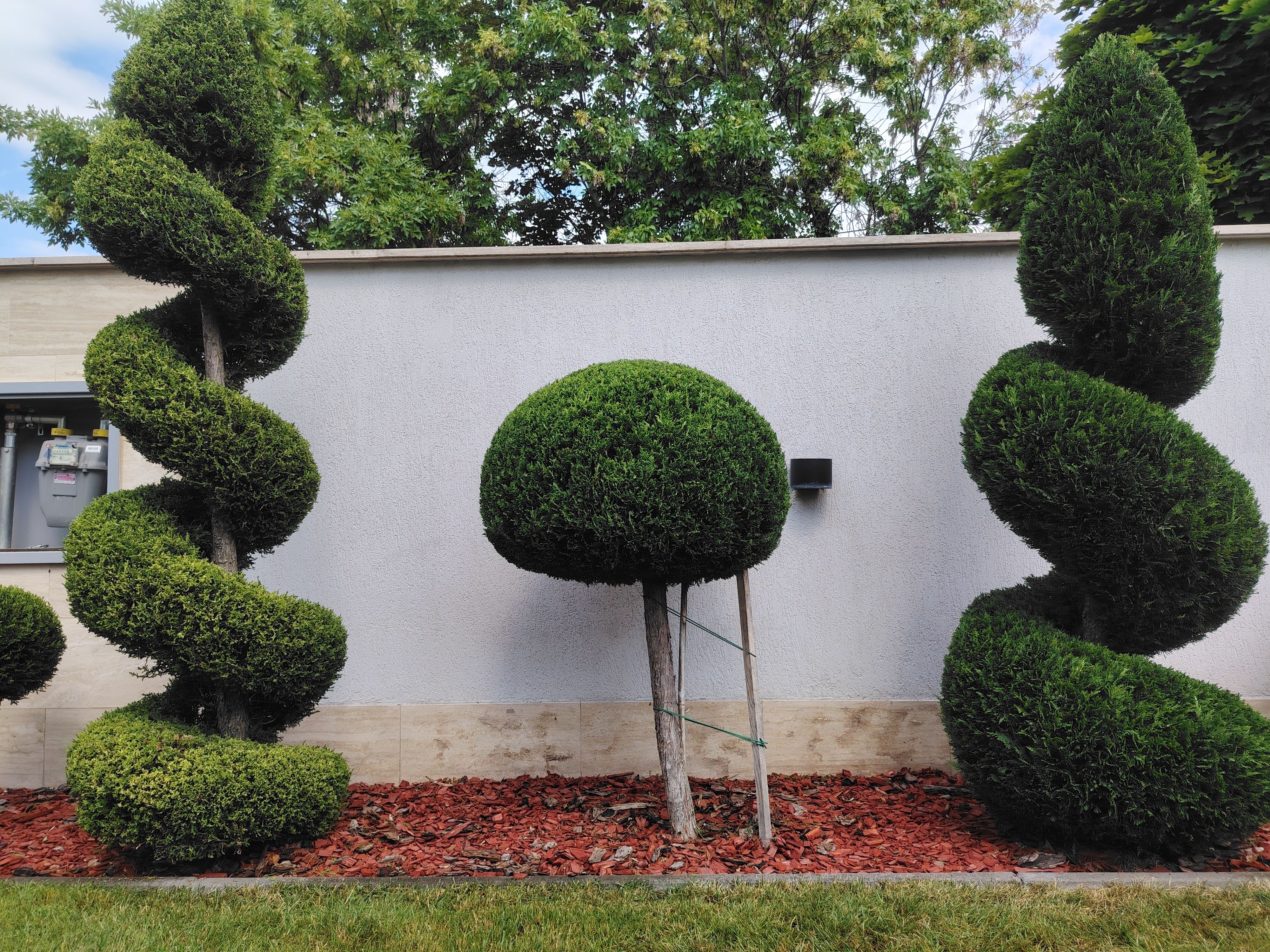Garden work gallery image
