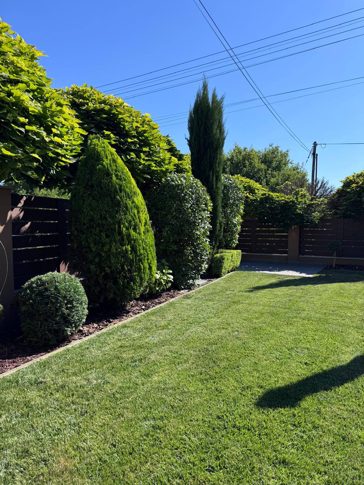 Garden work gallery image