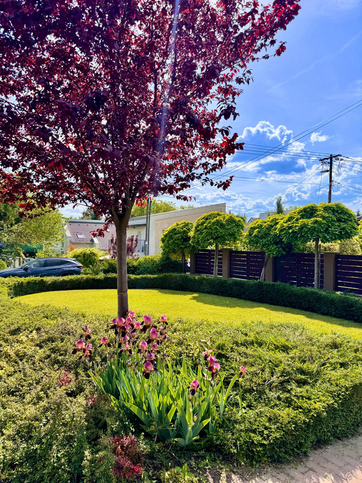 Garden work gallery image